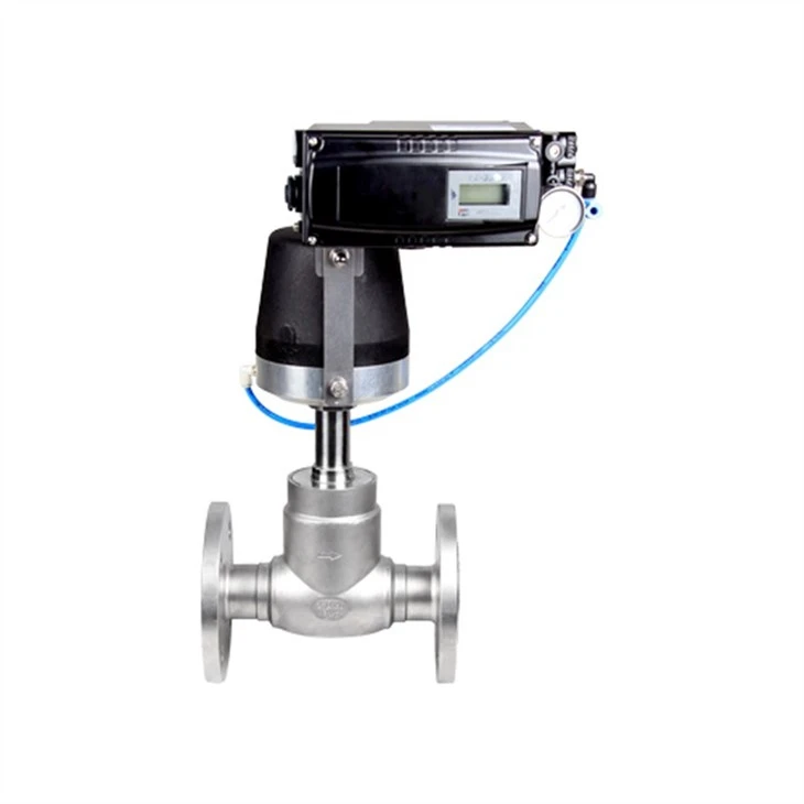 globe valve (16)